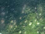 A picture of an F-100 gun camera view. Click on this picture to
start the video.