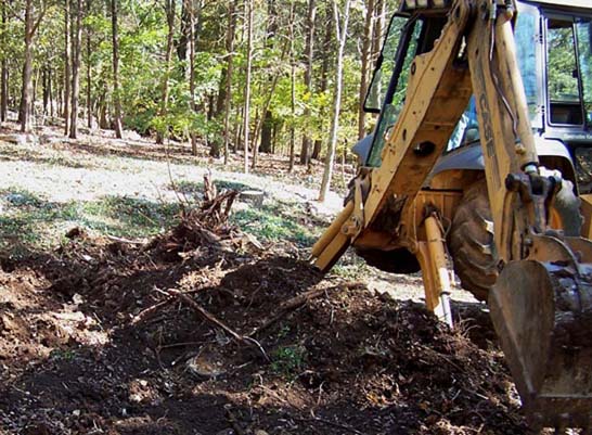 Initial building clearing