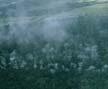 A picture of an F-100 gun camera view. Click on this 
          picture to start the video.