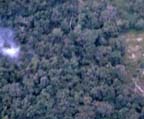 A picture of an F-100 gun camera view. Click on this 
          picture to start the video.