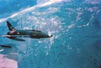 Picture of an F-100D in formation over Vietnam.
               Click on this picture to start the video.